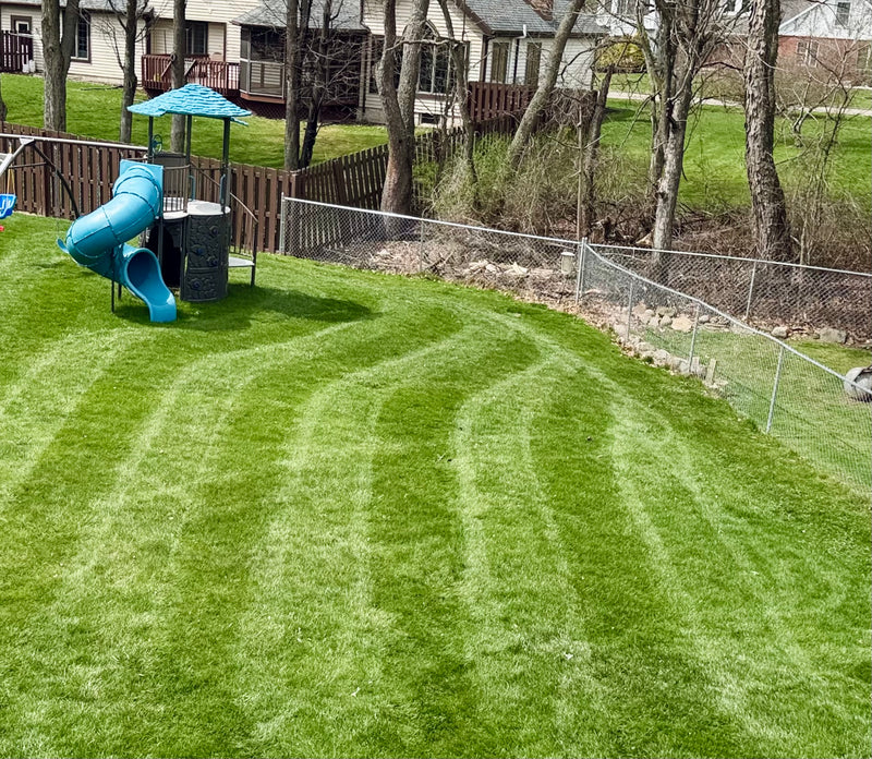 Backyard with a green lawn, playground and perfect lawn stripes